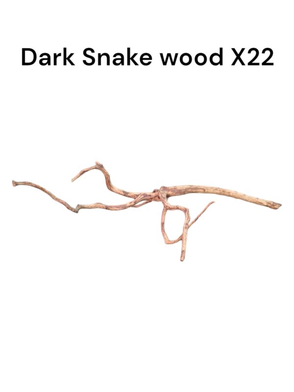 Dark Snake Wood X22